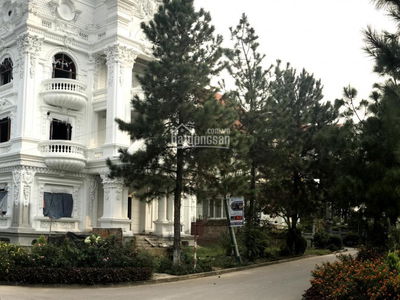 Gehäuse In Co Loa, Vietnam Gehäuse In Co Loa, Vietnam