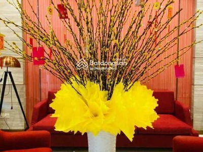 The River Thu Thiem, Vietnam The River Thu Thiem, Vietnam