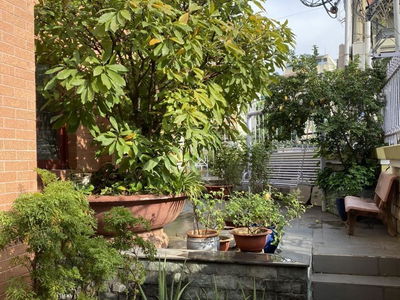 Housing in Ho Chi Minh City, Vietnam Housing in Ho Chi Minh City, Vietnam