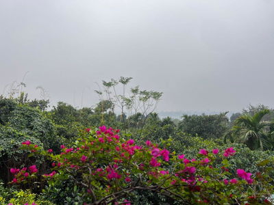 Logement dans Co Loa, Vietnam Logement dans Co Loa, Vietnam