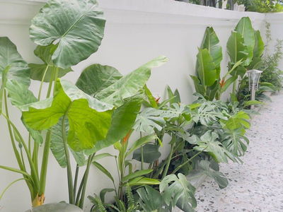 Vinhomes Ocean Park Gia Lam, Vietnam Vinhomes Ocean Park Gia Lam, Vietnam