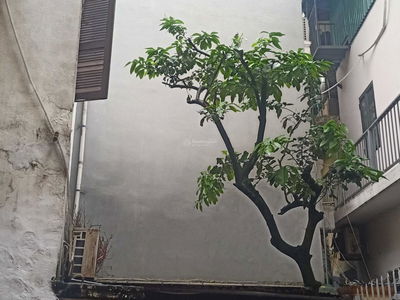 Alojamiento en Hanoi, Vietnam Alojamiento en Hanoi, Vietnam