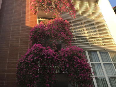 Logement dans Hanoi, Vietnam Logement dans Hanoi, Vietnam