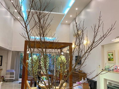 Alojamiento en Hanoi, Vietnam Alojamiento en Hanoi, Vietnam