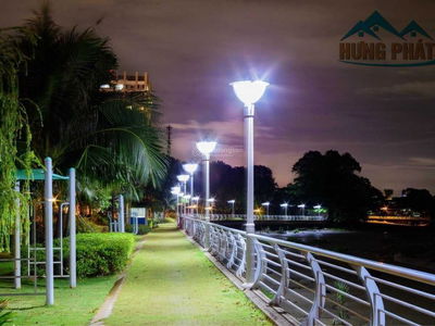 Jamona Golden Silk, Vietnam  Jamona Golden Silk, Vietnam