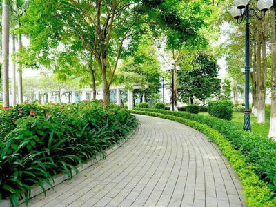 Moonlight 1 - An Lạc Green Symphony, Vietnam Moonlight 1 - An Lạc Green Symphony, Vietnam