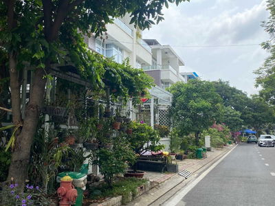 Jamona Golden Silk, Vietnam Jamona Golden Silk, Vietnam