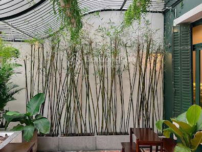 Жилье в Ho Chi Minh City, Vietnam Жилье в Ho Chi Minh City, Vietnam