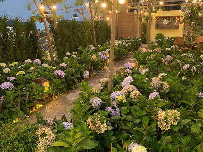 Жилье в Haiphong, Vietnam Жилье в Haiphong, Vietnam