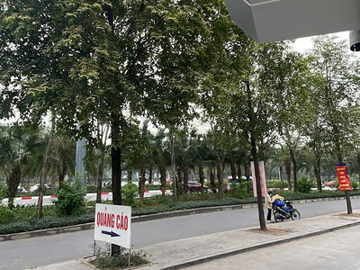 Gehäuse In Co Loa, Vietnam Gehäuse In Co Loa, Vietnam