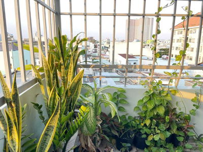 Жилье в Ho Chi Minh City, Vietnam Жилье в Ho Chi Minh City, Vietnam