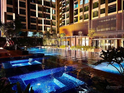 Zenity, Vietnam  Zenity, Vietnam