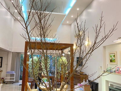 Logement dans Hanoi, Vietnam Logement dans Hanoi, Vietnam