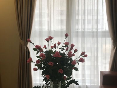 The Sparks, Vietnam The Sparks, Vietnam