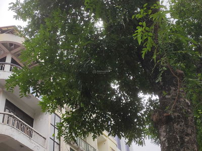 Gehäuse In Hanoi, Vietnam Gehäuse In Hanoi, Vietnam