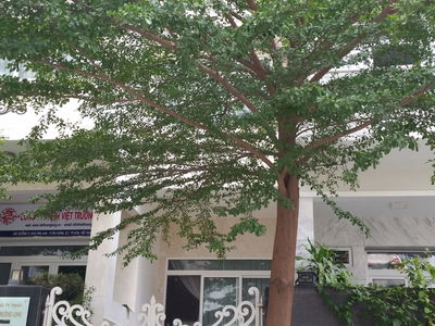 Him Lam Riverside, Vietnam  Him Lam Riverside, Vietnam