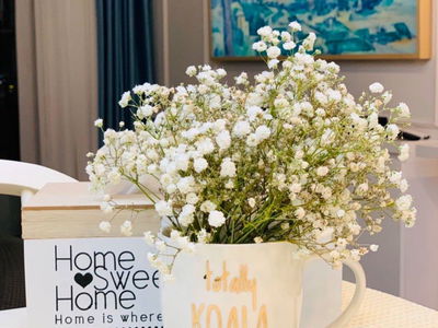 Terra Royal, Vietnam Terra Royal, Vietnam