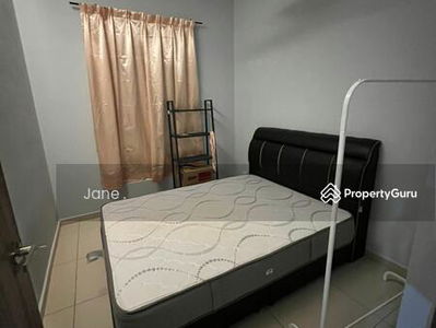 Tree Sparina @ Ideal Vision Park, Malaysia Tree Sparina @ Ideal Vision Park, Malaysia