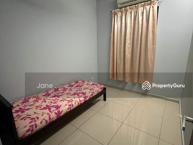 Tree Sparina @ Ideal Vision Park, Malaysia Tree Sparina @ Ideal Vision Park, Malaysia