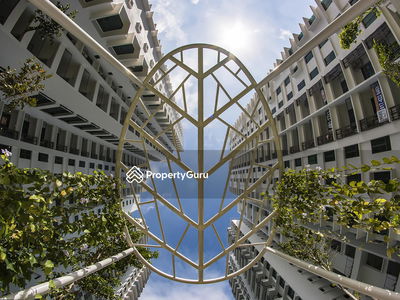 Tree Sparina @ Ideal Vision Park, Malaysia Tree Sparina @ Ideal Vision Park, Malaysia