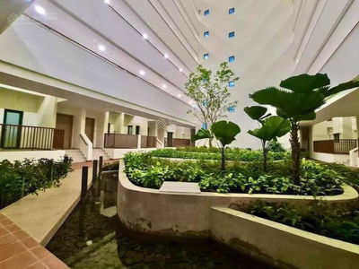 Topaz Twins, Vietnam Topaz Twins, Vietnam