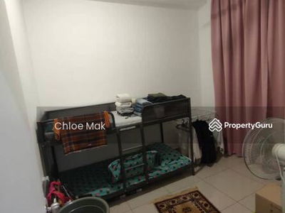 Eco Tropics, Malaysia Eco Tropics, Malaysia