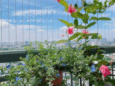 Lan Phuong MHBR Tower, Vietnam Lan Phuong MHBR Tower, Vietnam