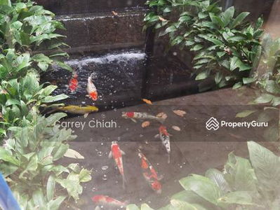 Lake Edge, Malaysia Lake Edge, Malaysia