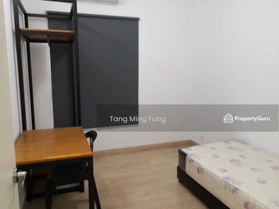 The Olive, Malaysia The Olive, Malaysia