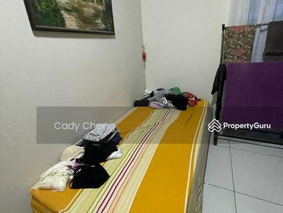 The Seed @ Taman Sutera Utama, Malaysia The Seed @ Taman Sutera Utama, Malaysia