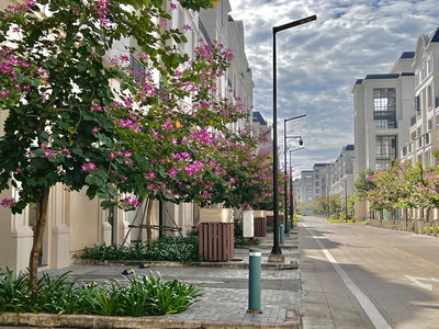 Swan Bay, Vietnam  Swan Bay, Vietnam