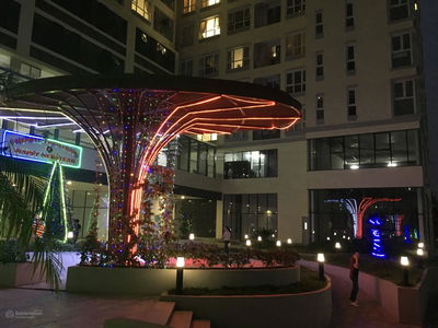 The Golden Star, Vietnam The Golden Star, Vietnam