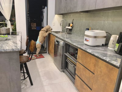 Thủ Thiêm Dragon, Vietnam Thủ Thiêm Dragon, Vietnam