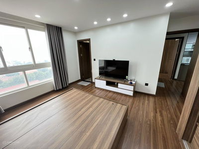 The Golden Armor, Vietnam The Golden Armor, Vietnam