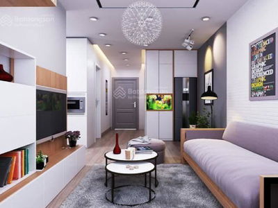 Green Stars, Vietnam Green Stars, Vietnam