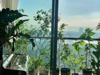 Thủ Thiêm Dragon, Vietnam Thủ Thiêm Dragon, Vietnam