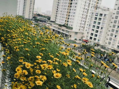 The Ascentia Phú Mỹ Hưng, Vietnam The Ascentia Phú Mỹ Hưng, Vietnam