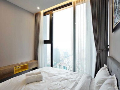 The Golden Armor, Vietnam The Golden Armor, Vietnam