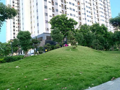 Golden Land 5, Vietnam Golden Land 5, Vietnam