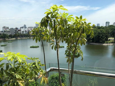 Gehäuse In Hanoi, Vietnam Gehäuse In Hanoi, Vietnam