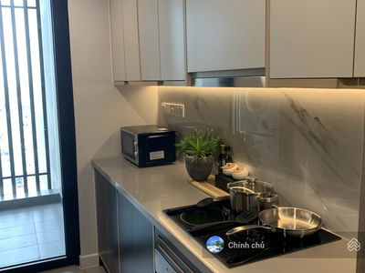 Zenity, Vietnam Zenity, Vietnam