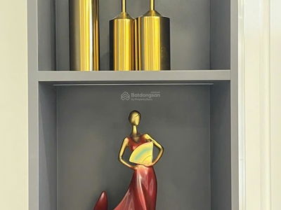 C-SkyView, Vietnam C-SkyView, Vietnam