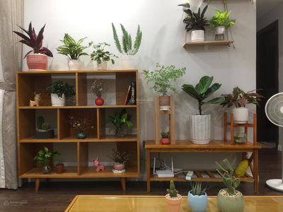 Tây Hồ Residence, Vietnam Tây Hồ Residence, Vietnam