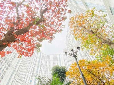 The Emerald, Vietnam The Emerald, Vietnam