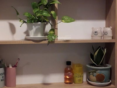 Botanica Premier, Vietnam Botanica Premier, Vietnam