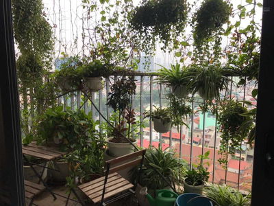 Chung cư Vườn Xuân - 71 Nguyễn Chí Thanh, Vietnam Chung cư Vườn Xuân - 71 Nguyễn Chí Thanh, Vietnam