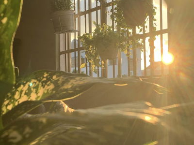 Logement dans Di An, Vietnam Logement dans Di An, Vietnam