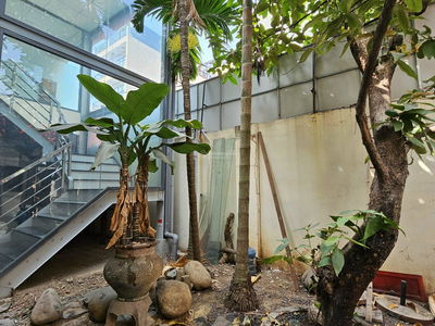 Жилье в Ho Chi Minh City, Vietnam Жилье в Ho Chi Minh City, Vietnam