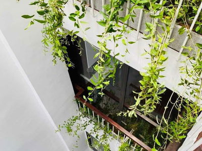 Gehäuse In Ha GJong, Vietnam Gehäuse In Ha GJong, Vietnam