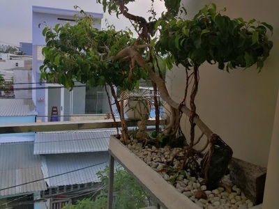 Alojamiento en Nha Be, Vietnam Alojamiento en Nha Be, Vietnam